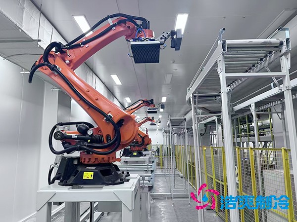 自動化醫藥冷庫安裝_GSP/GMP自動化冷庫建造_FDA藥品自動化冷庫廠家